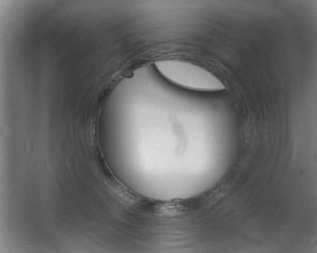X0000068730372200604280956