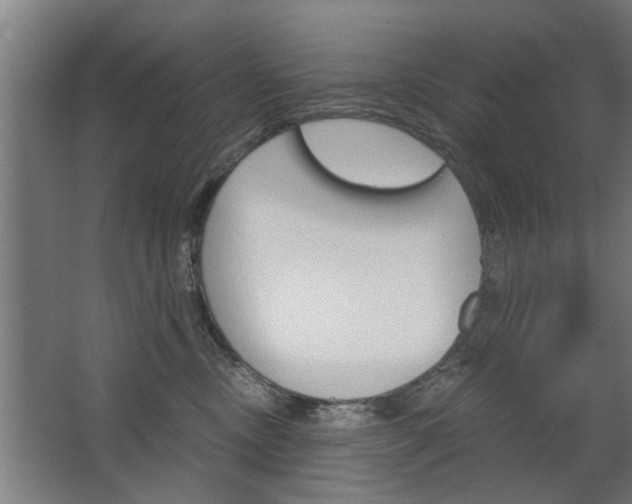 X0000068730378200604280956