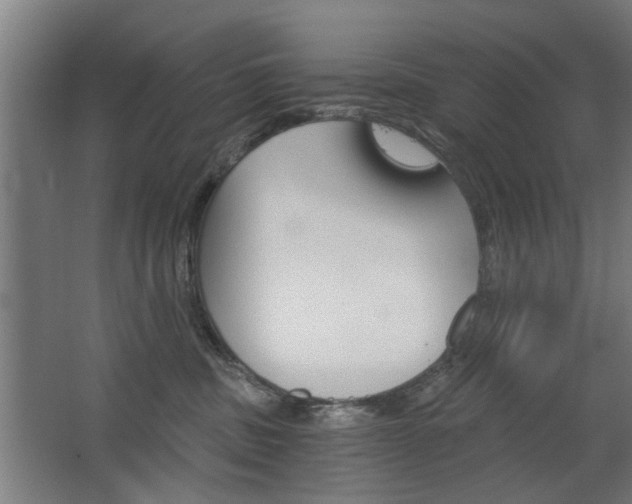 X0000068730379200604280956