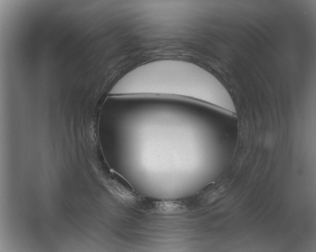 X0000068730380200604280956