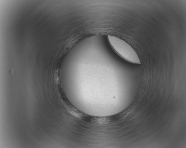 X0000068730383200604280956