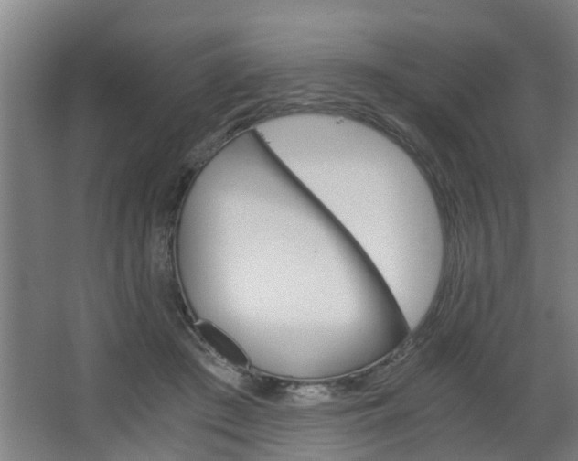 X0000068730409200604280955