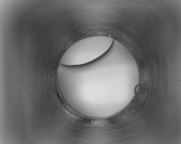 X0000068730414200604280955