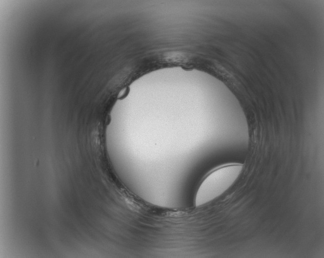 X0000068730424200604280955