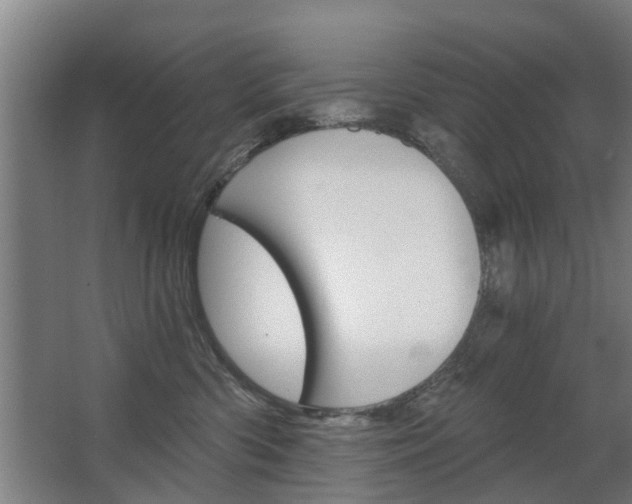 X0000068730426200604280955