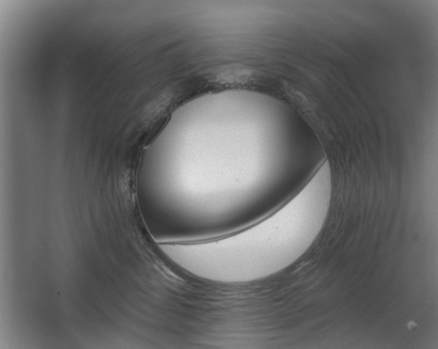 X0000068730428200604280955