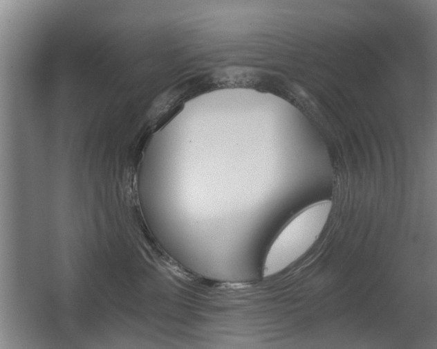 X0000068730429200604280955