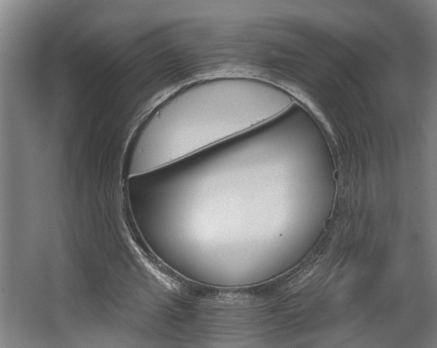 X0000068730437200604280954