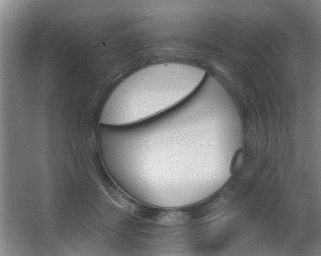 X0000068730459200604280955