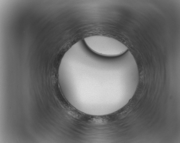 X0000068730464200604280955