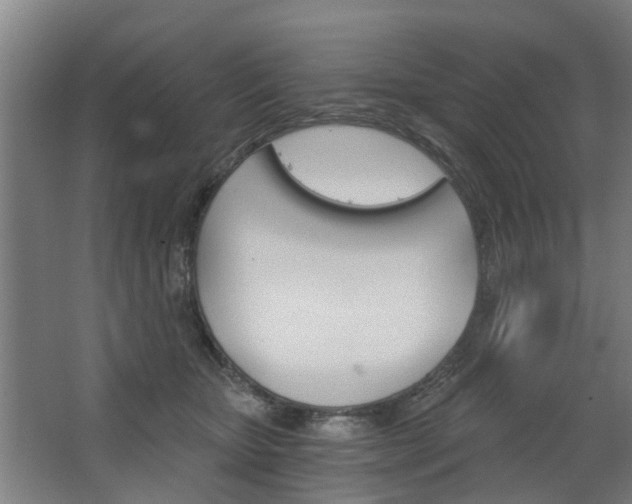 X0000068730467200604280955