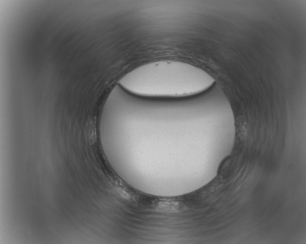 X0000068730471200604280955