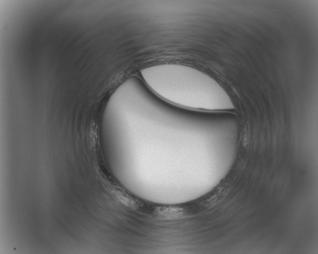X0000068730476200604280955