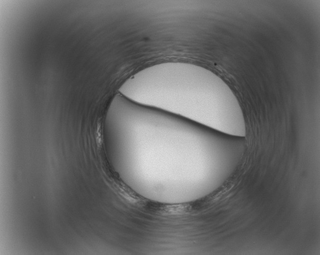X0000068730479200604280955