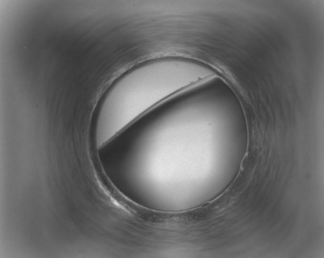 X0000068730485200604280954