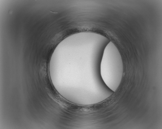 X0000068730498200604280954