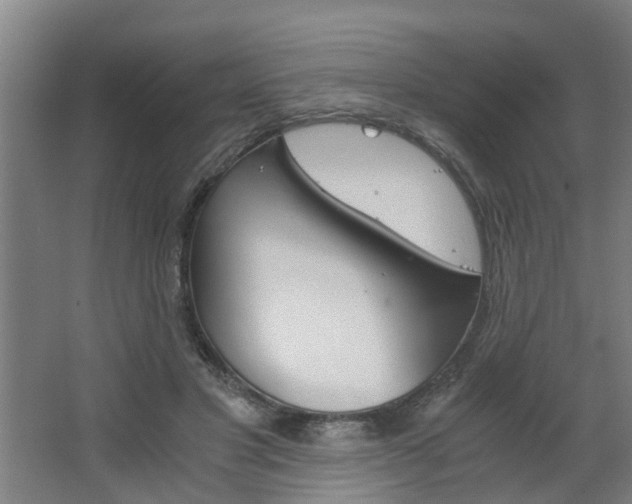 X0000068730501200604280954
