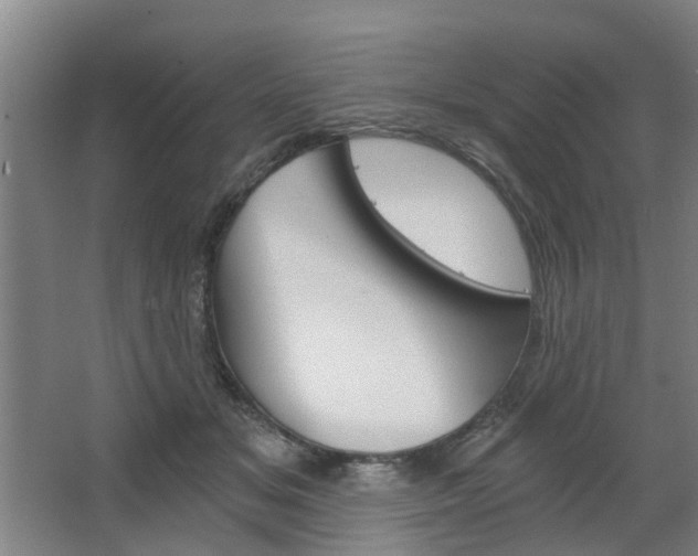 X0000068730509200604280954