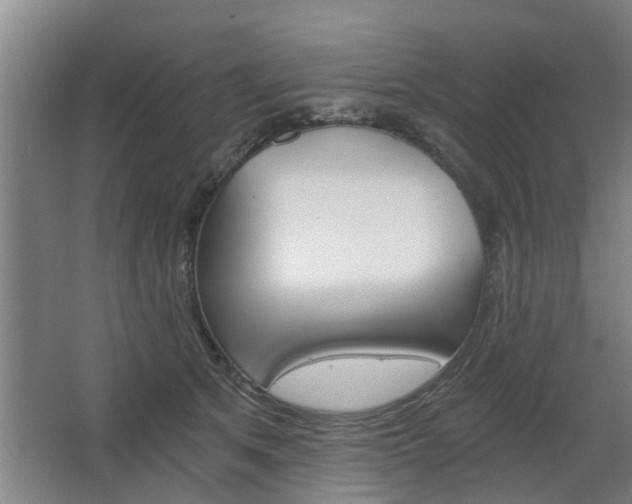 X0000068730513200604280954