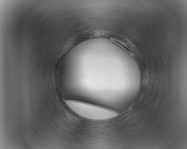 X0000068730524200604280953