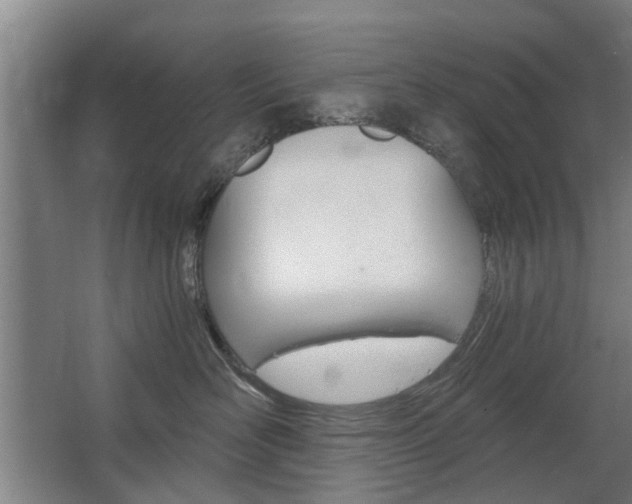 X0000068730526200604280953
