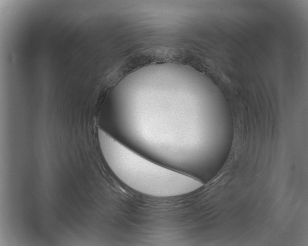 X0000068730528200604280953