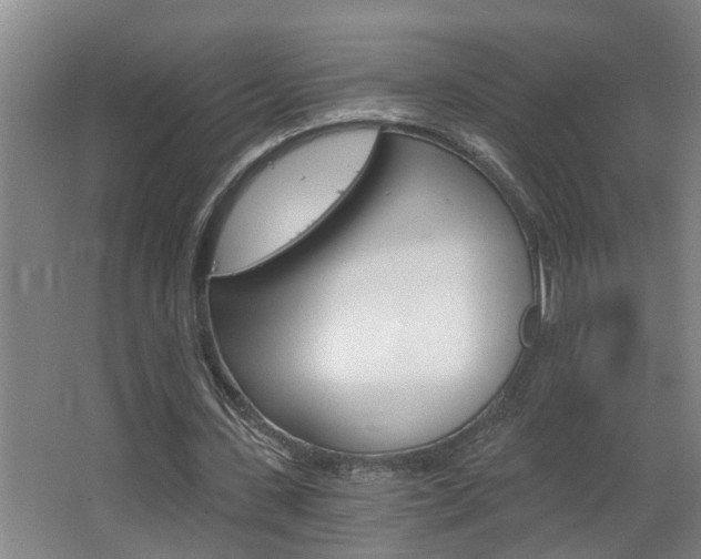 X0000068730531200604280952