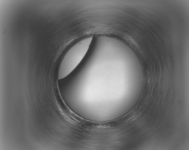 X0000068730542200604280953