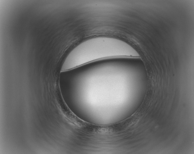 X0000068730546200604280953