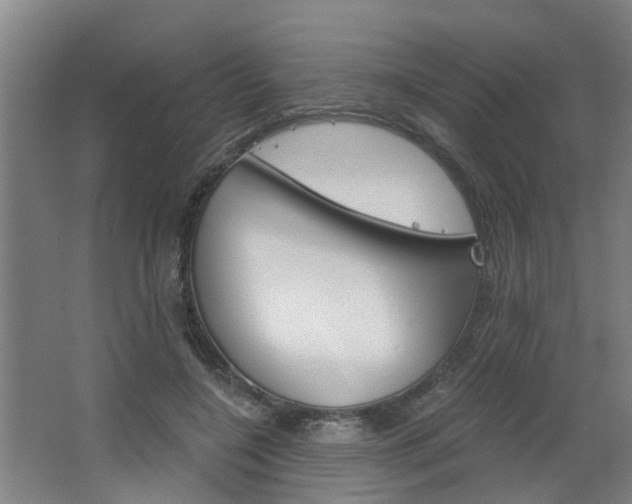 X0000068730548200604280953