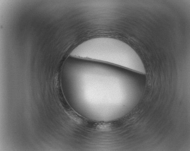 X0000068730560200604280953