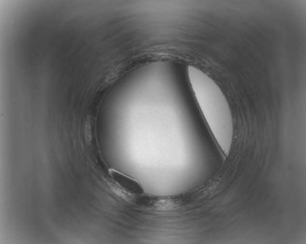 X0000068730562200604280953
