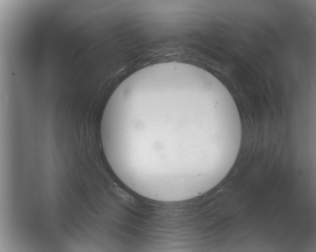 X0000068730574200604280953