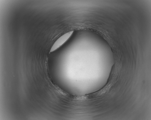 X0000068730576200604280953