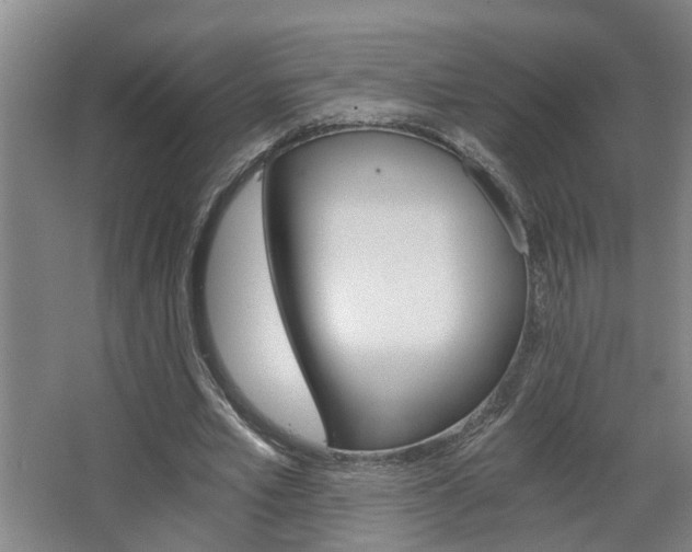 X0000068730581200604280952