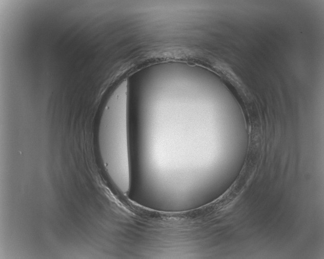 X0000068730585200604280952