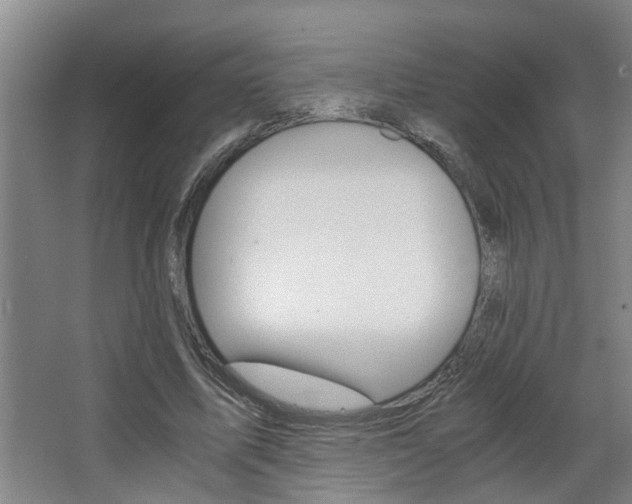 X0000068730587200604280952