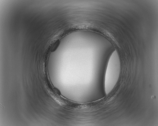 X0000068730589200604280952