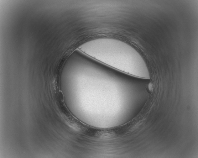 X0000068730597200604280952