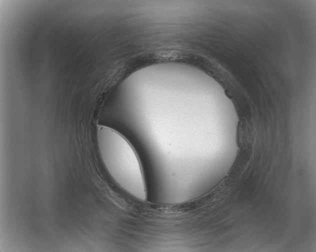 X0000068730601200604280952