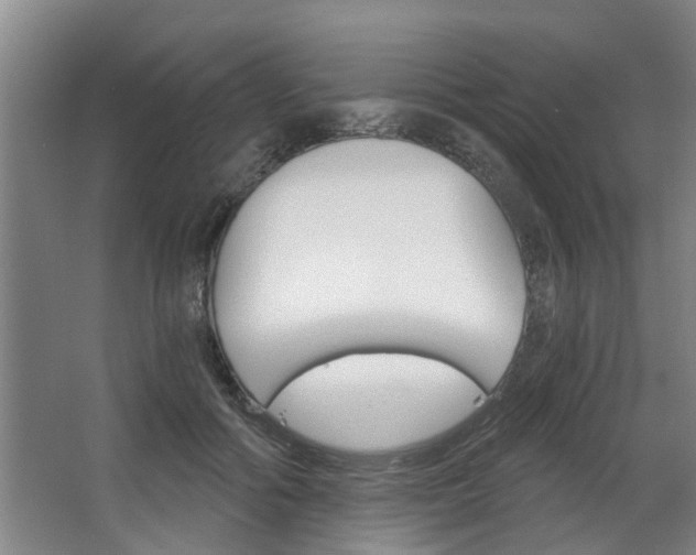 X0000068730602200604280952