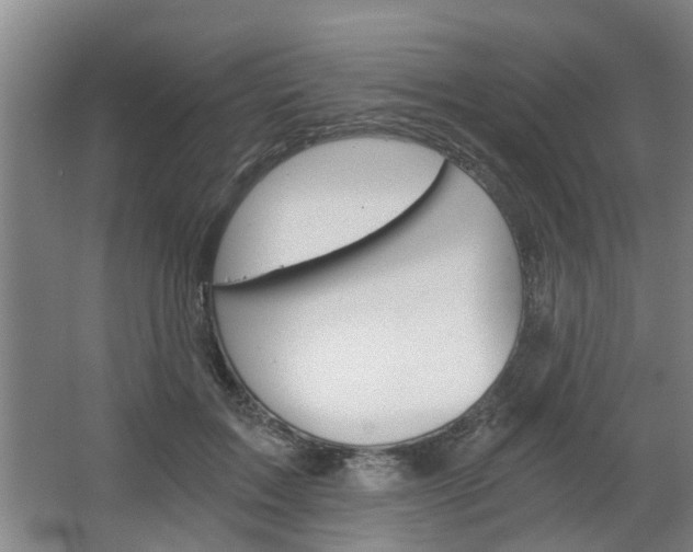 X0000068730603200604280952