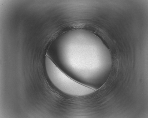 X0000068730604200604280952