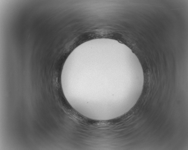 X0000068730615200604280952
