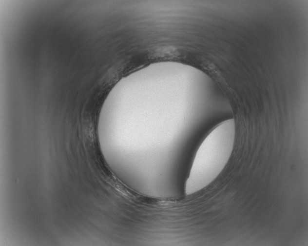 X0000068730617200604280952