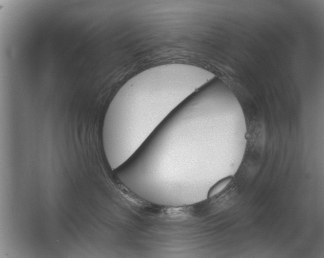 X0000068730622200604280952