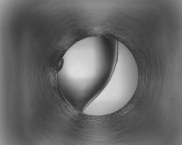 X0000068730624200604280952