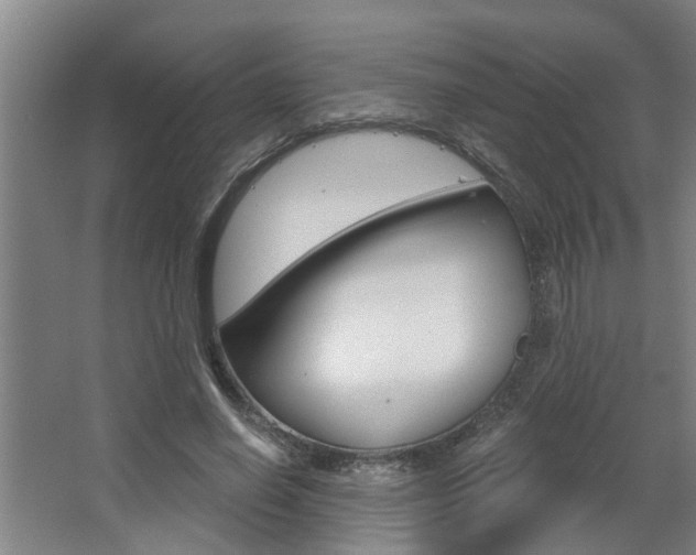 X0000068730638200604280951