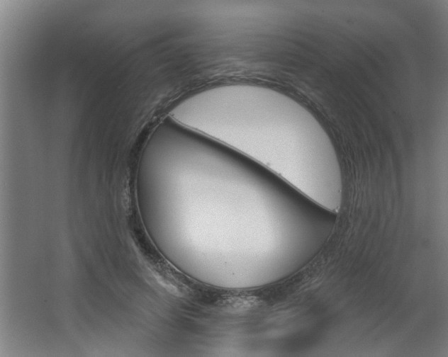 X0000068730642200604280951