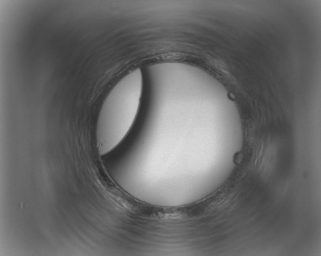 X0000068730645200604280951